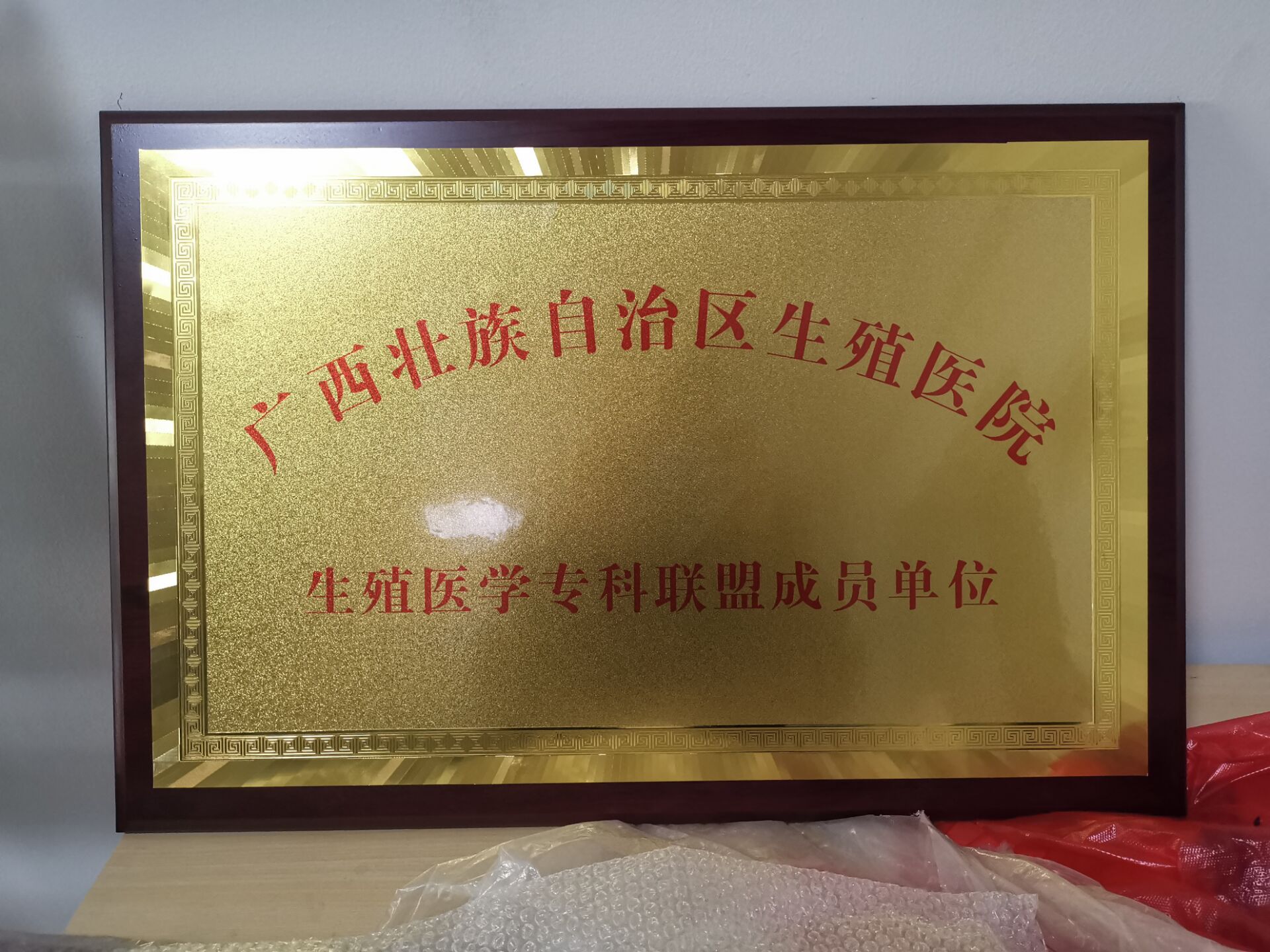 广西壮族自治区生殖医院金色牌匾制作