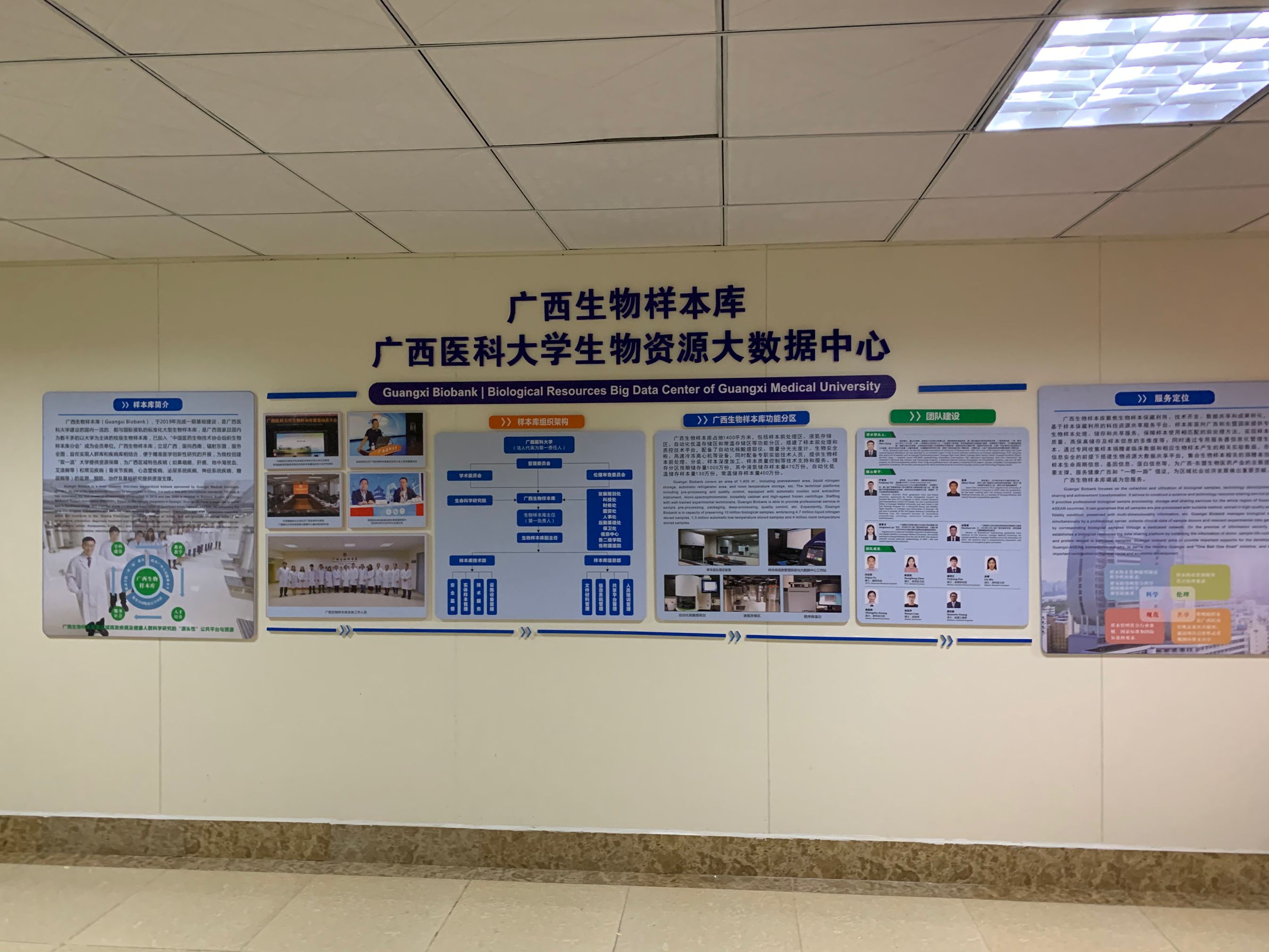 广西医科大学生物资源库大数据中心文化墙制作与效果图
